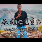 Sampul lagu - Adelia